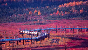 【供应面动态】原油期货直播室：OPEC+最新表态，今日油价影响因素权重