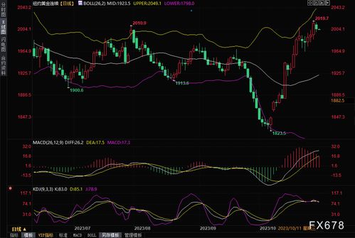 【均值回归策略】黄金期货直播室：玩转布林带、RSI，让你的交易“稳准狠”！