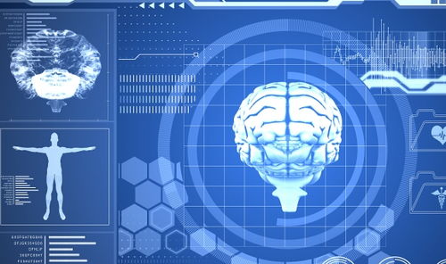 【自我控制训练】所有直播室：冲动交易的心理机制与自我控制策略