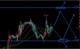 【同伴压力管理】恒指期货直播室：社交交易时代的信息过载与独立判断