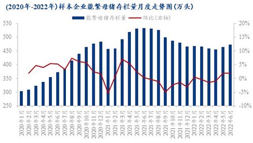 【赌徒谬误识别】期货直播室：独立随机事件的错误模式识别心理