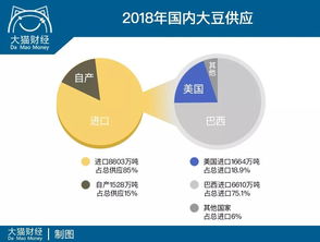 【框架效应应用】黄金期货直播室：信息呈现方式对交易决策的影响研究
