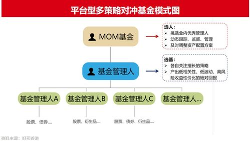 【多资产对冲基金】直播室揭秘：机构级多策略对冲基金的精妙组合构建之道