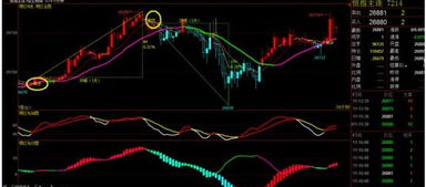 【框架效应实践】恒指期货直播室：信息呈现方式对决策质量的影响
