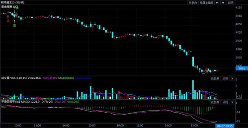 鸡蛋期货出现连续放量意味着什么？，鸡蛋期货涨停板是多少