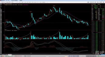 IF 指数期货开盘跳空后走势怎么看？，期货里的if