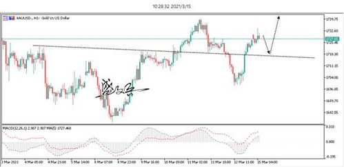 拨开迷雾，洞见先机：国际期货直播室地缘政治风险模型，量化俄乌、中东局势对黄金原油的价格冲击