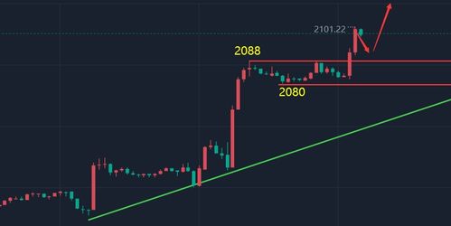 把握先机，赢在当下：期货直播室全天候实战服务，点燃你的交易激情！