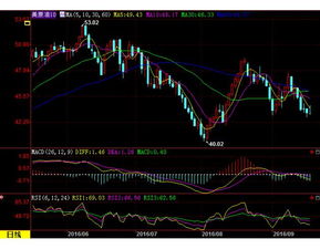 原油期货直播室明日关键：OPEC+会议提