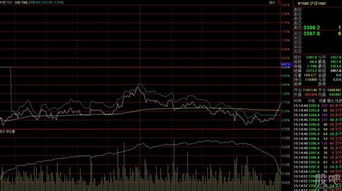 股指期货尾盘大涨意味着次日继续涨吗？，期货尾盘突然拉升的股第二天的走势