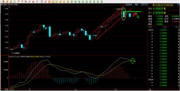 MT4外汇代理(外汇经纪商mt4)_财经之家，mt4外汇代码一览表