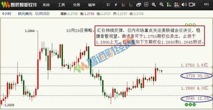 外汇期权_外汇期权交易_外汇期权软件_外汇期权行情软件，外汇期权什么意思