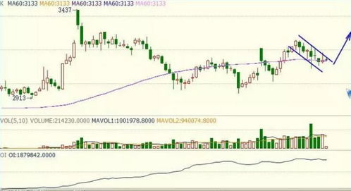 豆粕2611期货实时行情-今日豆粕2611期货最新价格行情走势图-华富网，豆粕2107期货价格
