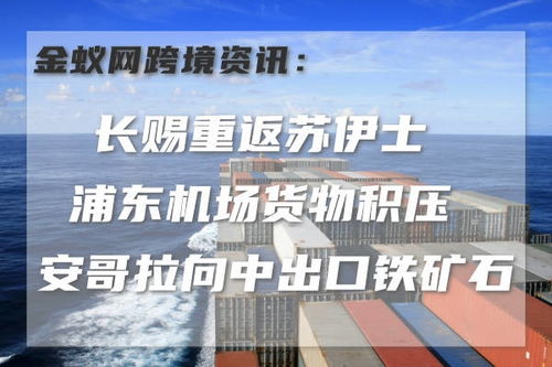 期货新闻资讯-华富期货-华富网，富华国际期货平台