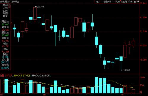 拨云见日：A股、基金、恒指、国际期货，四维联动，开启财富新纪元