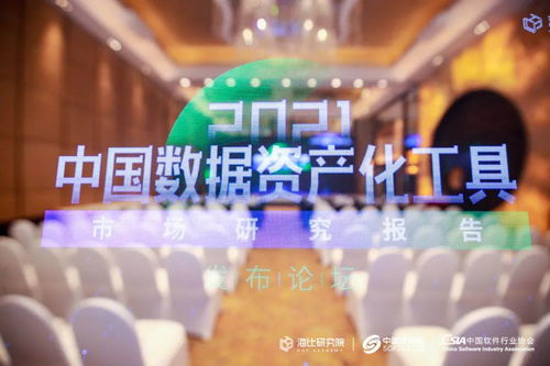 【数据价值掘金】A股数据要素市场启航，纳斯达克SaaS估值模型启示录