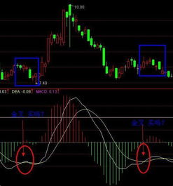 【给悲观者】告别A股“慢牛”之困：纳指与黄金的双核驱动，解锁资产跃迁新纪元