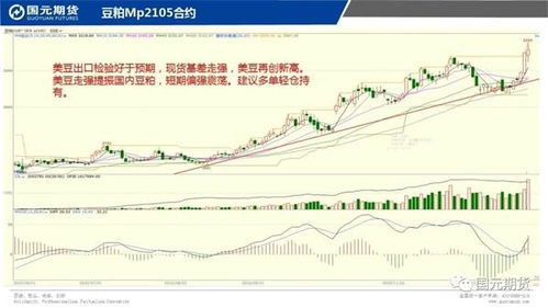 纯碱期货量价背离：缩量反弹难持续，警惕空头反扑，纯碱期货涨价