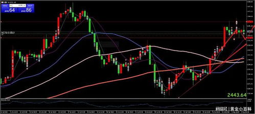 市场情绪谨慎：等待非农数据与美联储政策指引，非农数据与美债的关系