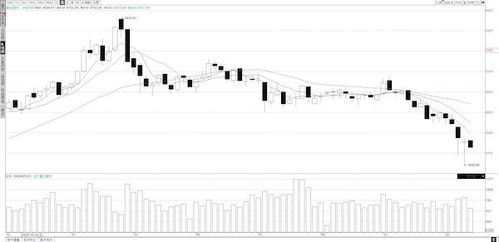 政策底已现，市场底何时到来？期货市场等待催化剂，期货市场什么时候开始