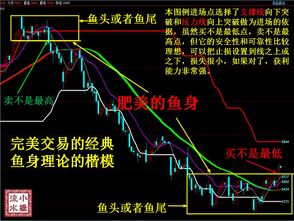 期货市场中的波段交易如何实现资金的快速积