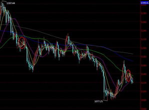 黄金期货直播间：多周期均线系统共振，揭示