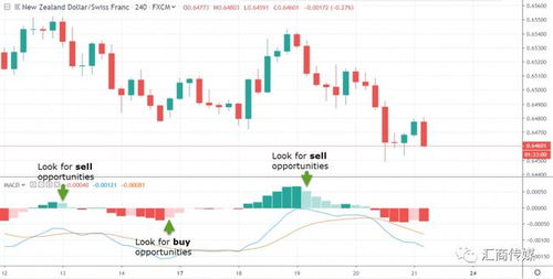 技术指标组合：打造你的交易系统，技术指标 知乎