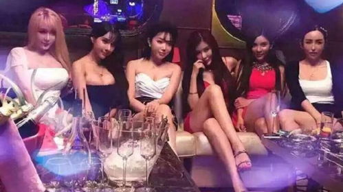 成都西城ktv招聘模特，成都西门夜场招聘女模