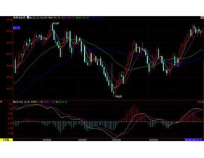 原油期货直播室实战：EIA数据驱动，解锁