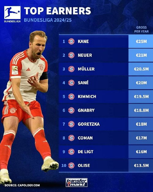 德甲拜仁慕尼黑最新转会动态开云独家报道，拜仁慕尼黑德甲10连冠