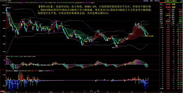 【最新阿尔法】国际期货直播室：揭秘大盘之外的独立强者——A股、恒指、纳指中的阿尔法行业洞察