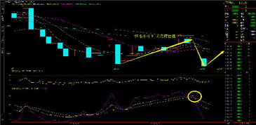 恒指直播间实盘解析：A股联动，黄金APP助你洞悉先机！