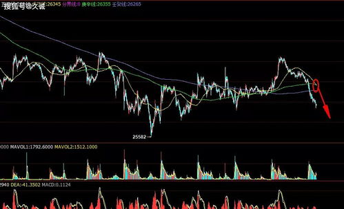 期货直播室APP明日实况：恒指期货、纳指、原油实时操作建议，恒指期货 下载
