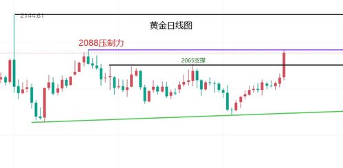 期货直播间：当商品期货掀起巨浪，金融期货市场今日为何格外平静？