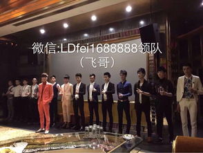 2026天津夜场招聘-天津商务素场ktv招聘模特信息