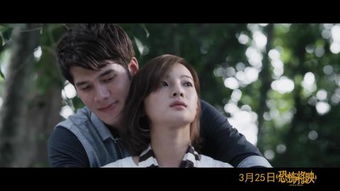 get_img?key=6959000046fcf7bba2d0030f