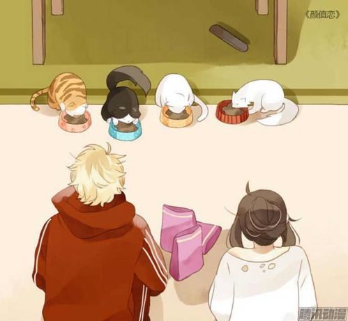 get_img?key=69591b1646fcf7bba2d1ac06