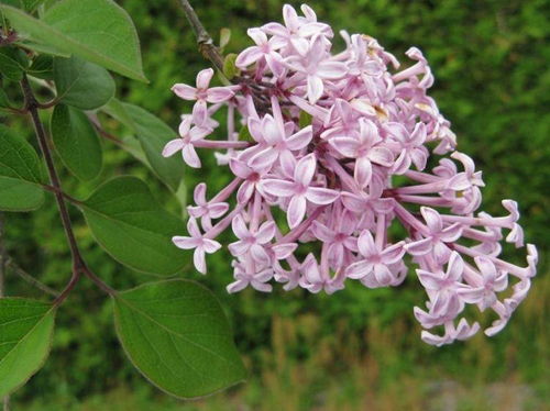 get_img?key=69591d1e46fcf7bba2d1d949