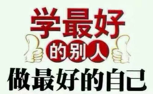 get_img?key=6959221646fcf7bba2d24c0c