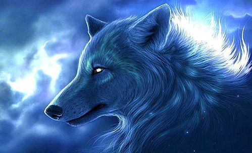 get_img?key=6959313846fcf7bba2d332ff