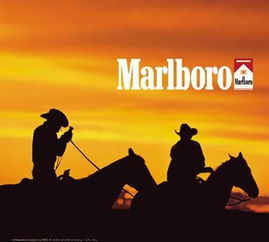 get_img?key=695934a746fcf7bba2d37b1b