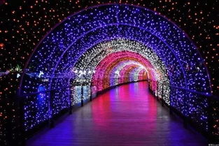 get_img?key=69593e9146fcf7bba2d43a9e