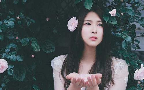 get_img?key=69593fa346fcf7bba2d451f3