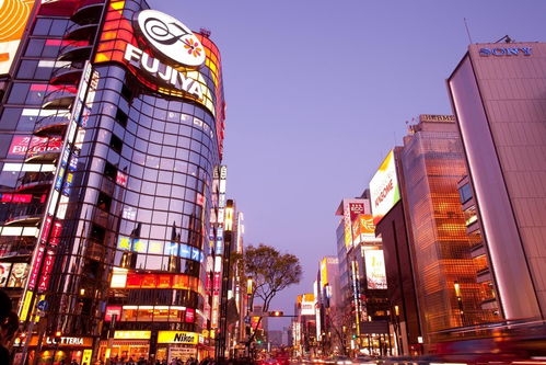 get_img?key=6959401246fcf7bba2d45893