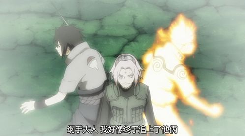 get_img?key=6959418446fcf7bba2d47a36