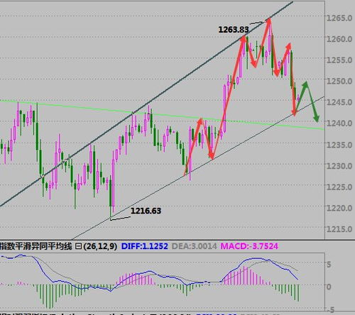 【期货直播APP】国际原油明日走势，供需面与技术面结合研判，国际原油期货今天