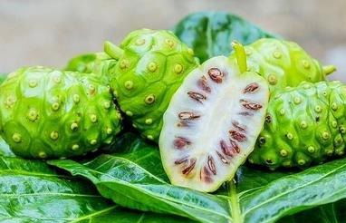 【纳指直播APP】AI概念全线回调，英伟