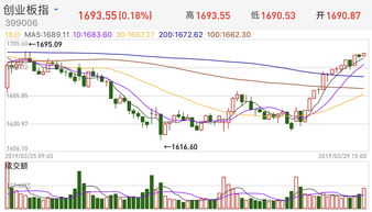 【板块聚焦】道富期货直播间：深证指数热点
