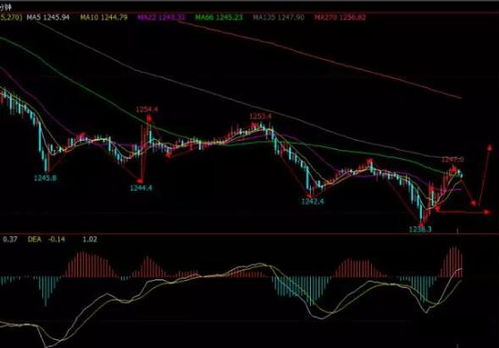 【策略深度】国际期货直播室：黄金、原油、德指板块轮动，期货直播APP解析！