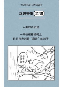 get_img?key=695c813f9ed2ff4c0c952577